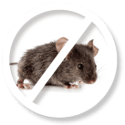 Mice Pest Control Sydney