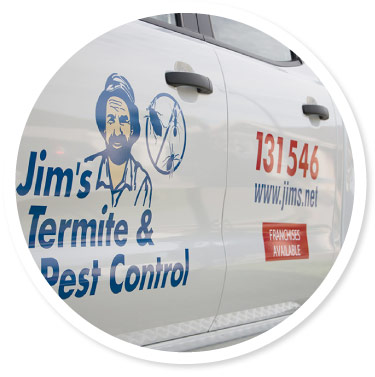 Pest Control