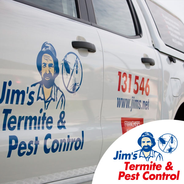 Pest Control Albury & Termite Treatment by Jim's Call 131 546