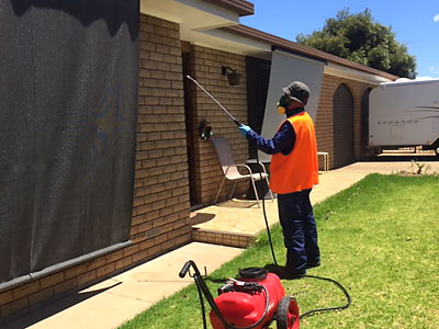 Pest Control Treatment Albury Wodonga