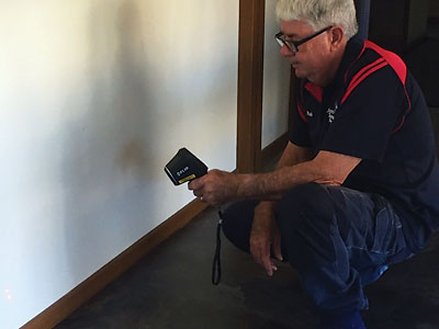 Termite Inspection Albury NSW