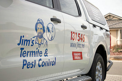 Flea pest control and treatment Albury